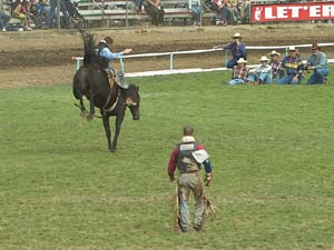 170_7085small
